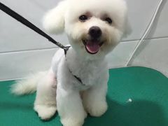 -汪星球宠物生活馆