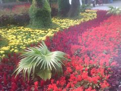 -辛玛王国游乐园