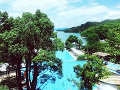 -逸廊大堂吧-下午茶·简餐-千岛湖自由洲际殿