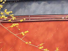 -钱王祠