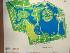 -大兴滨河森林公园