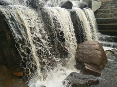 -五营红松林海景区