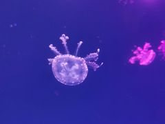 -华夏文旅西安度假区