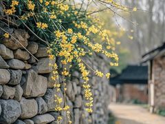 -吾悦广场(南京鼓楼店)