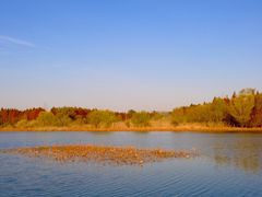 -溱湖国家湿地公园