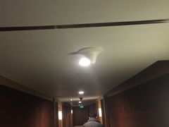 -北京长白山国际酒店(鸟巢店)