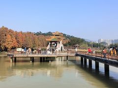 -星湖旅游景区七星岩