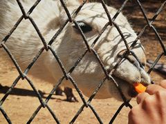 -大连森林动物园