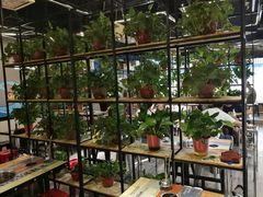 -屋头串串(沁水路店)