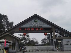 -中国大熊猫保护研究中心雅安碧峰峡基地