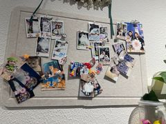 -琪喵猫屋·撸猫猫咖·猫舍