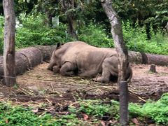 -清迈夜间动物园