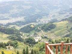 -紫鹊界梯田景区