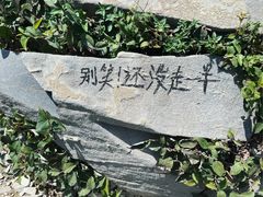 -北京鹫峰国家森林公园