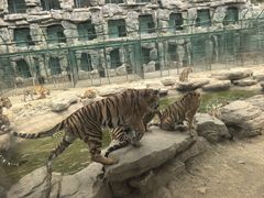 -栾川竹海野生动物园