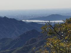 -大岭沟猕猴桃谷风景区