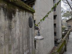 -南山植物园