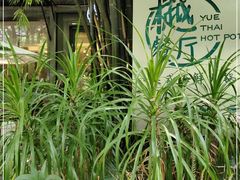 -樾餐厅泰式海鲜火锅(民歌湖店)