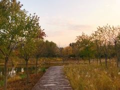 -东郊湿地公园