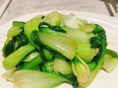 -老知青·东北菜(中华城店)