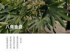 -木渎古镇