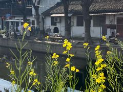 -练塘古镇
