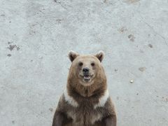 -哈尔滨北方森林动物园