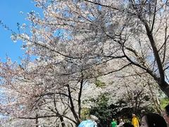 -堤角公园