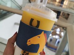 -春丽小马(济南恒隆广场店)