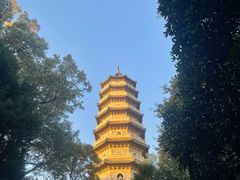 -灵谷景区