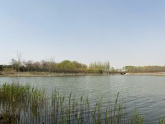 -大兴滨河森林公园