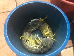 -量贩海鲜餐厅