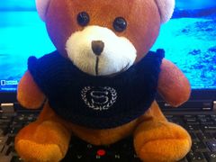 喜来登小熊-广州粤海喜来登酒店