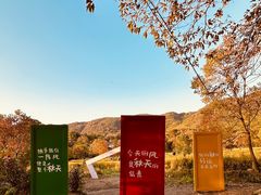 -塔川景区
