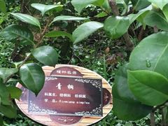 -兰溪青年公园