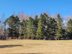 -国家植物园南园