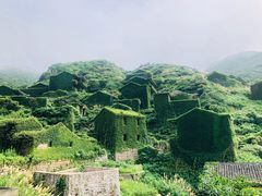 -枸杞岛