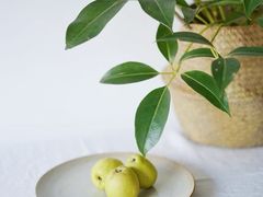 成品-瓷语堂(上海五维空间创意园店)