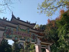 -广州市流溪河国家森林公园