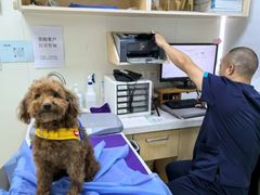 -美联众合动物医院·24h京西诊疗中心