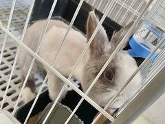 -小意思咖啡店(草桥店)