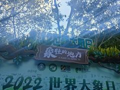 -野象谷景区