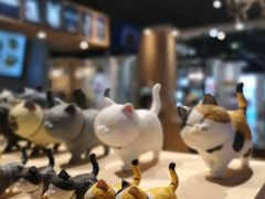 -藏猫猫咖啡主题馆(中央大道店)