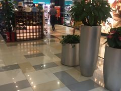 -鹏欣水游城