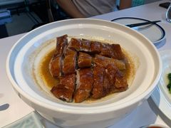 烧鹅-禧宴Joyous Restaurant(禧园店)