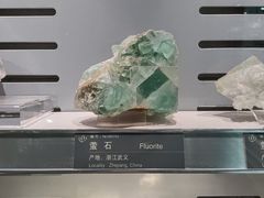 -中国地质博物馆