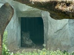 -青藏高原野生动物园