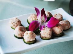 -墨脱石锅椰子鸡•香草鸭•东山羊(大东海店)