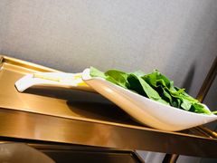 -海底捞火锅(公益西桥店)