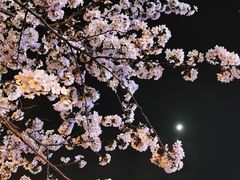 -永乐路-路侧停车场